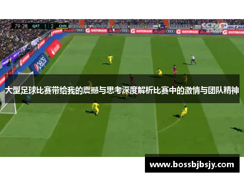 大型足球比赛带给我的震撼与思考深度解析比赛中的激情与团队精神